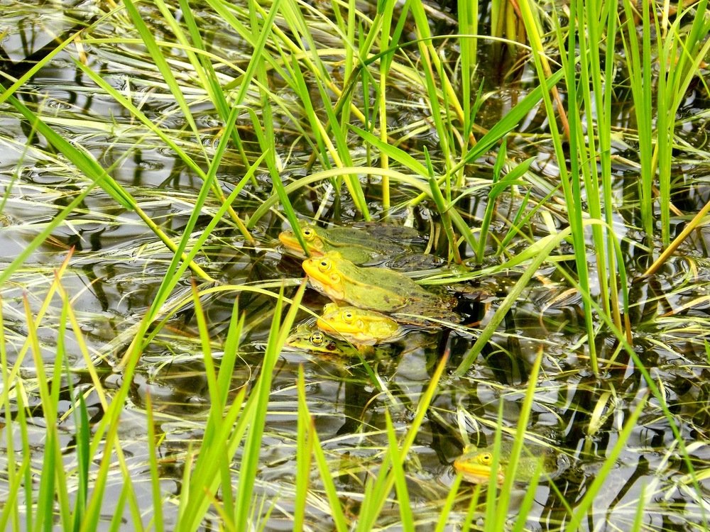 Photograph by Валентина Смирнова