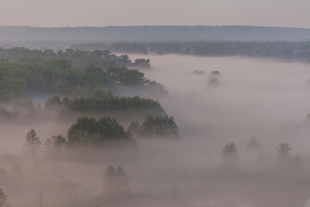 Туманная ночь