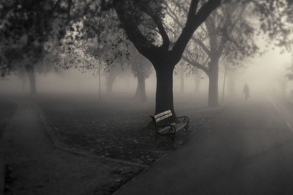 Photograph by Samir Kurtagić