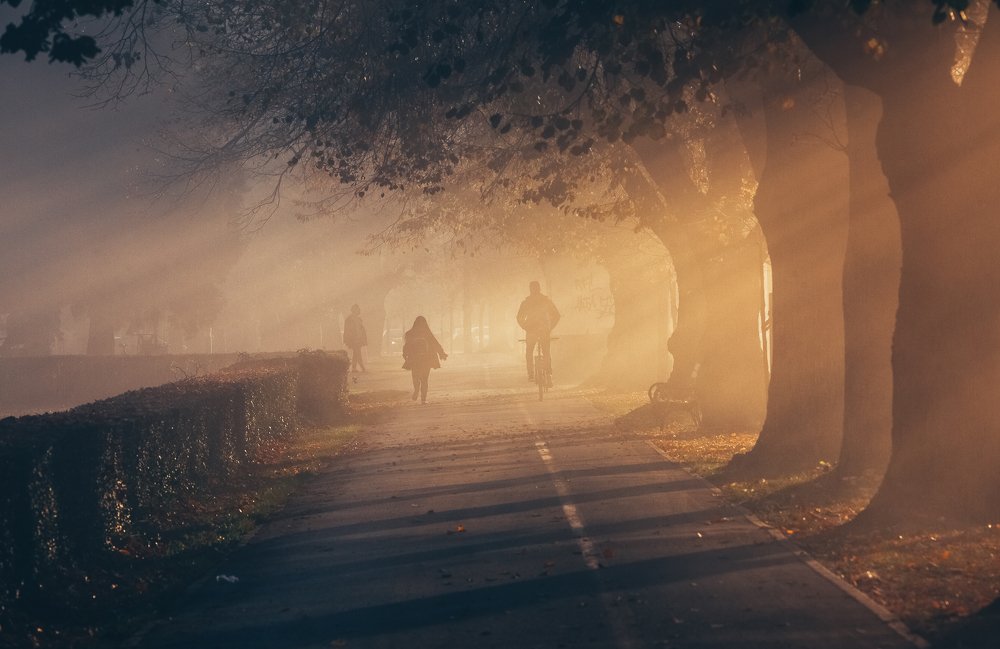 Photograph by Samir Kurtagić