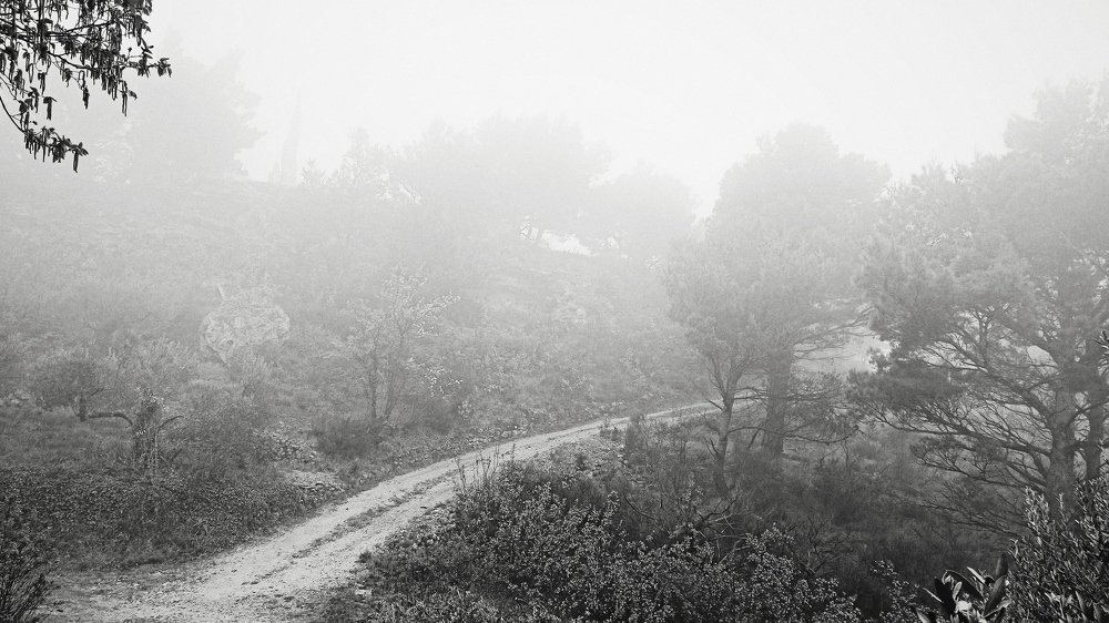 Photograph by Vladimir Nemčić