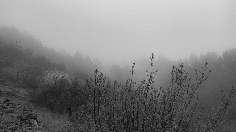 Photograph by Vladimir Nemčić
