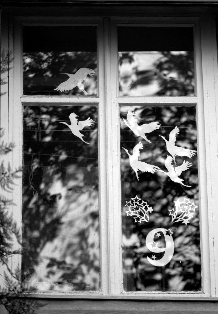 Photograph by Диана Арье