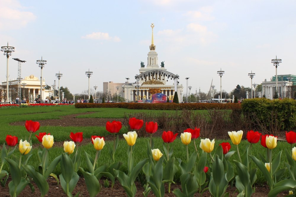 Photograph by Полина Новородонова