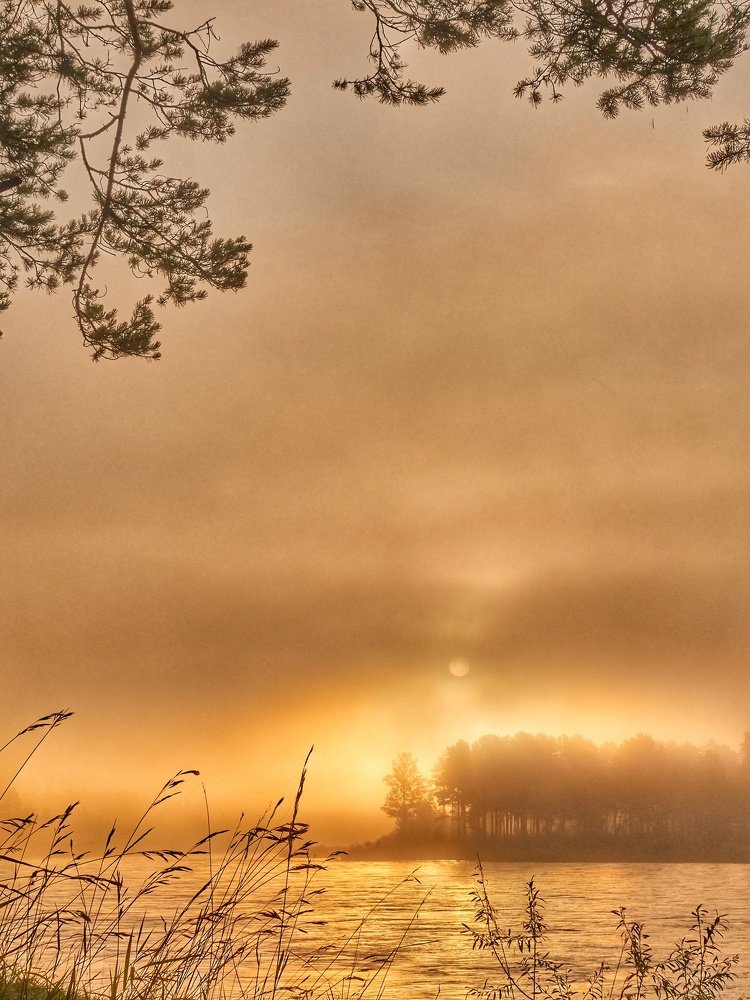 Туманный расвет на реке Китой