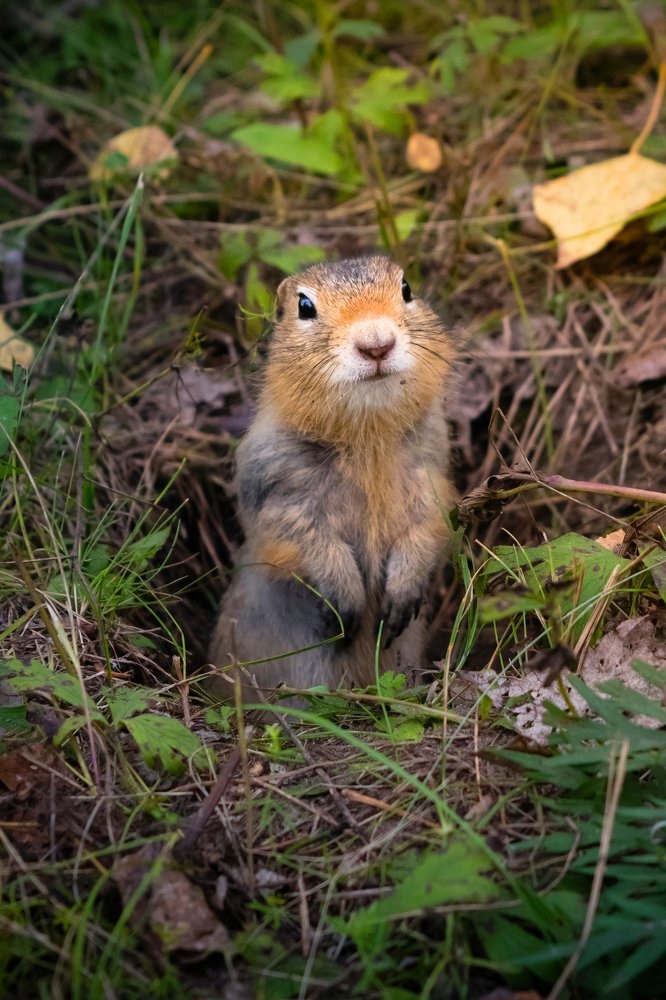 Photograph by Екатерина Назарова