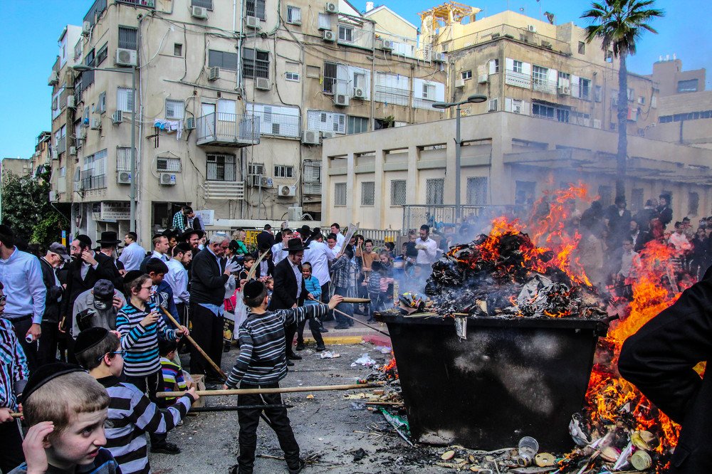 Photograph by Debbie Strauss