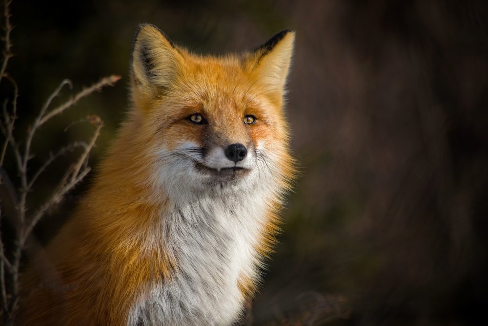 Photograph by Вероника Романенко