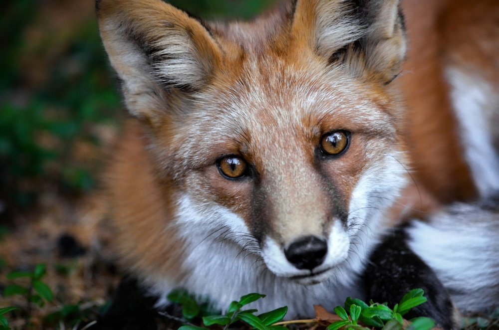 Photograph by Вероника Романенко