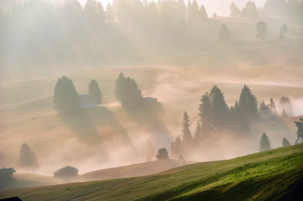 Photograph by Elena Turkov