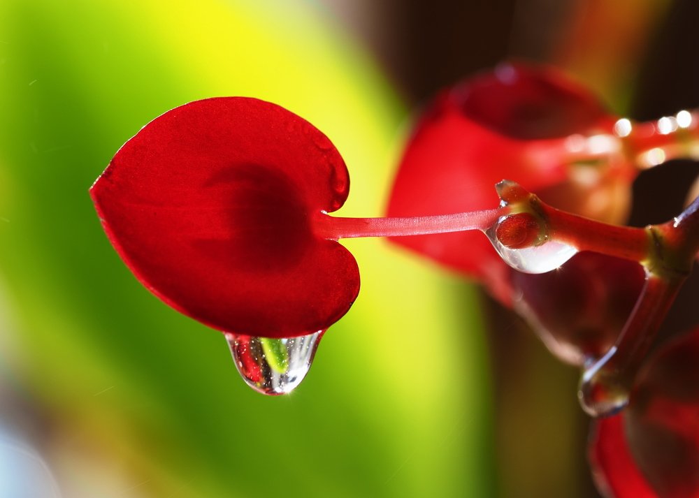 Photograph by Argiros Thanasis