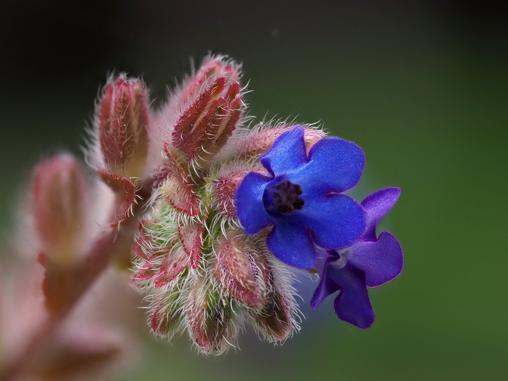 Photograph by Argiros Thanasis