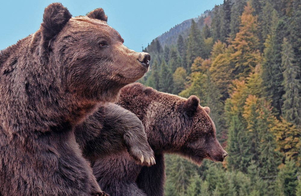 А нам всё по плечу...