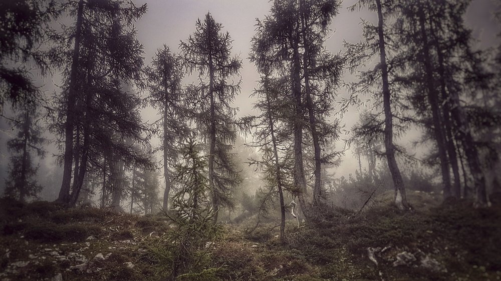 Photograph by Mojca Rebol