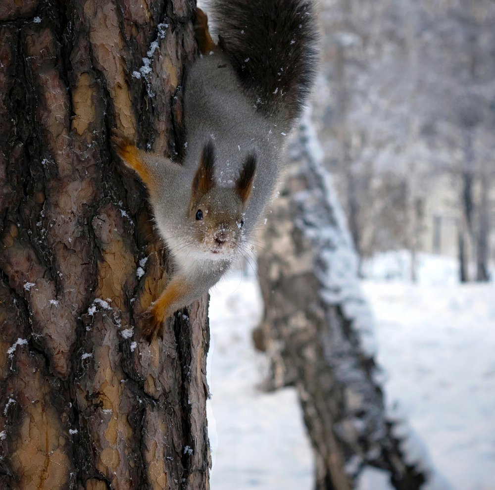 Photograph by Екатерина Назарова