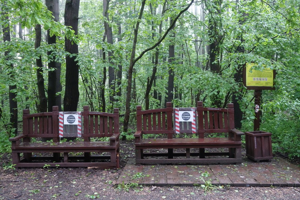 социальная дистанция