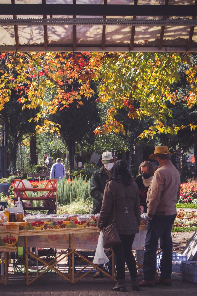 Photograph by Henrique Jahn