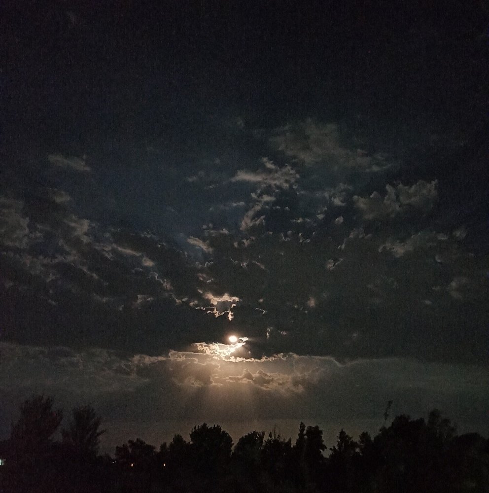 Photograph by Алишер Рузимуратов