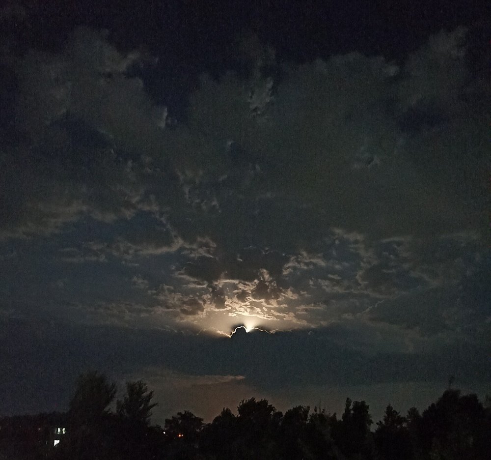 Photograph by Алишер Рузимуратов
