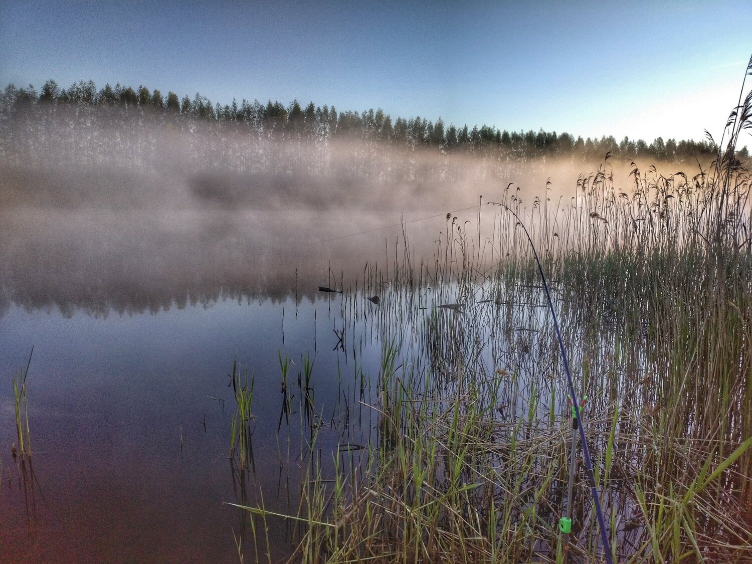 Photo #4648603