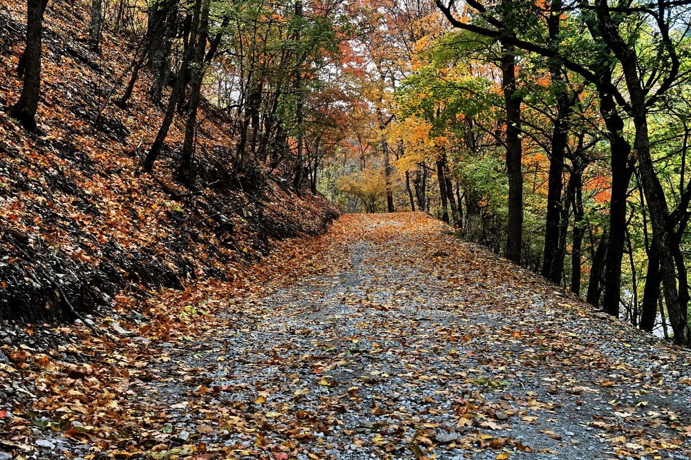 Photograph by Виктор Косюк