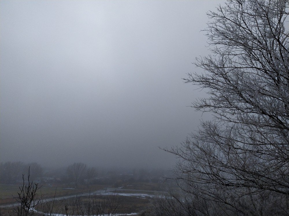 Фотография автора Наталья Алексеева