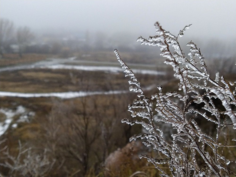 Фотография автора Наталья Алексеева