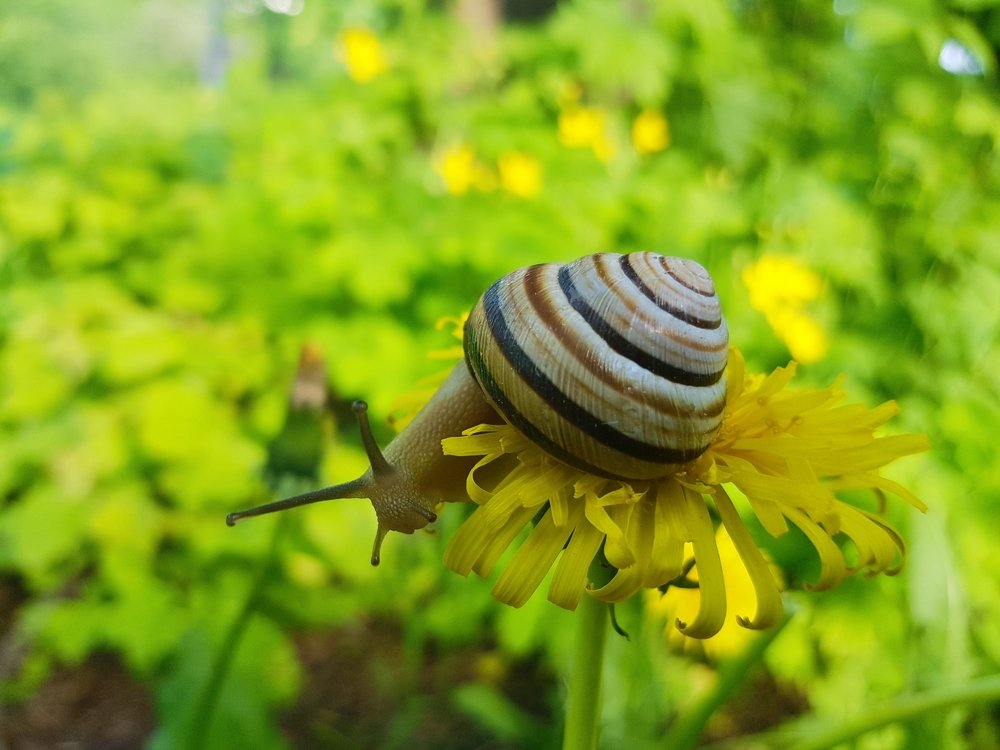 Photograph by Анна Знаменская