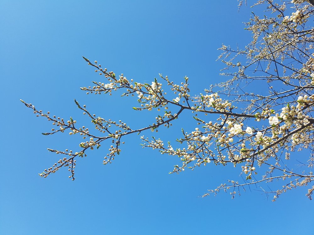 Photograph by Анна Знаменская