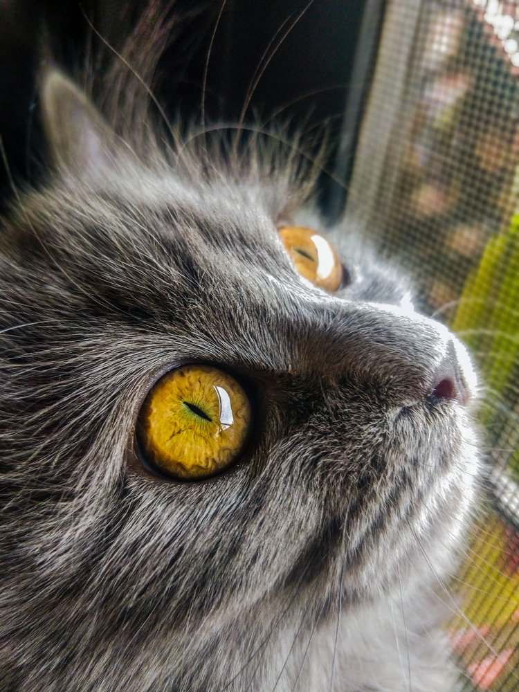 When Can I Get back out there!!