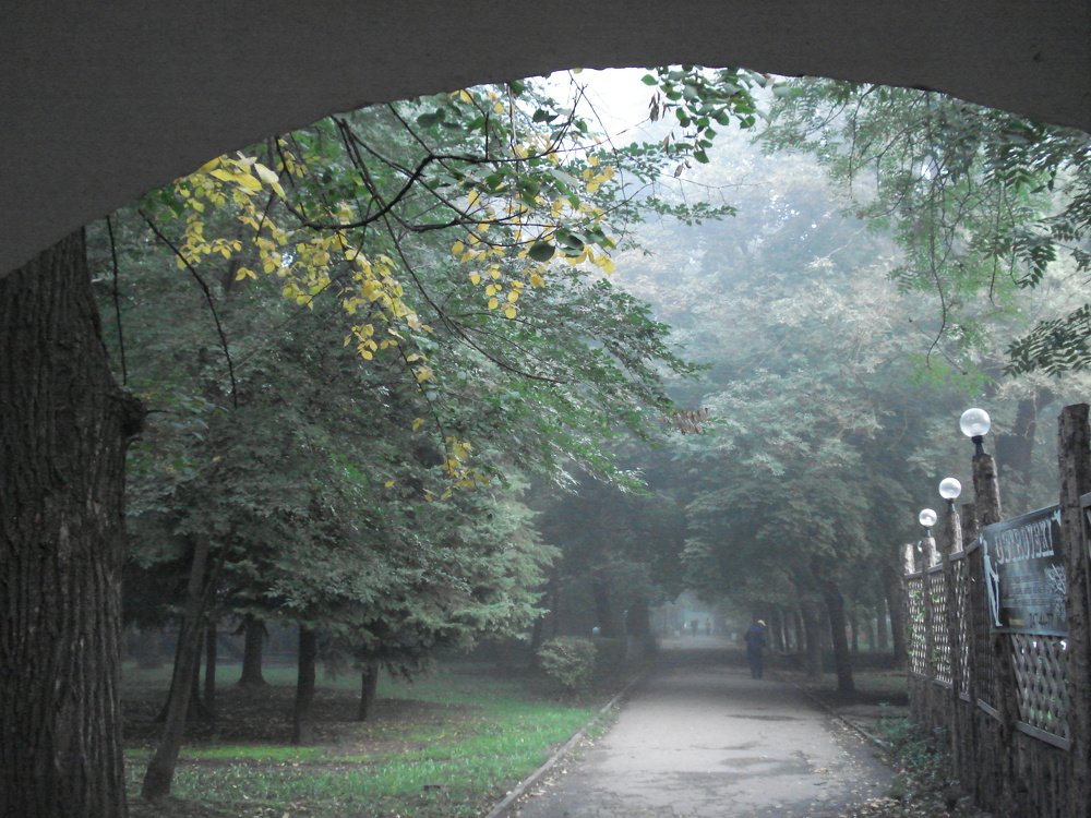 Photograph by София Гавриловна Вотякова