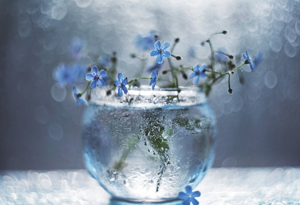 Photograph by Ольга Литвинова