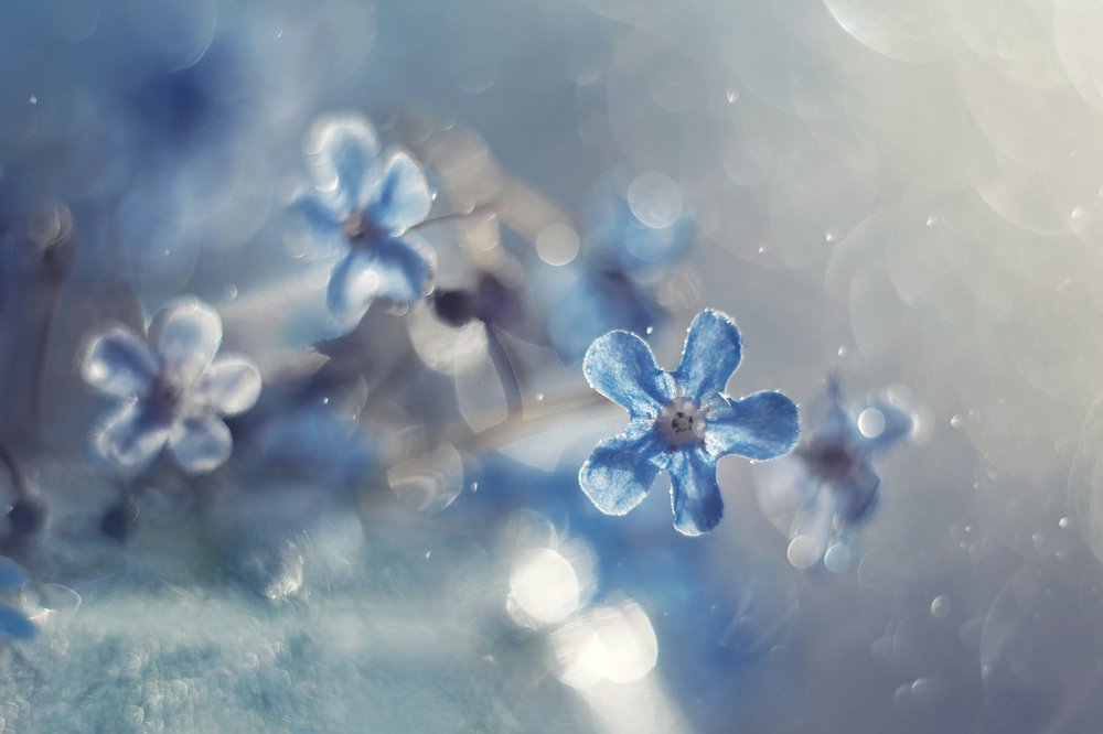 Photograph by Ольга Литвинова