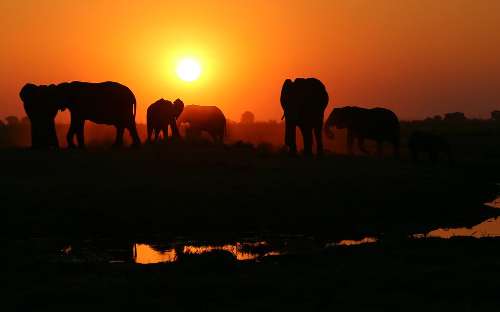 Photograph by Диана Жагрина