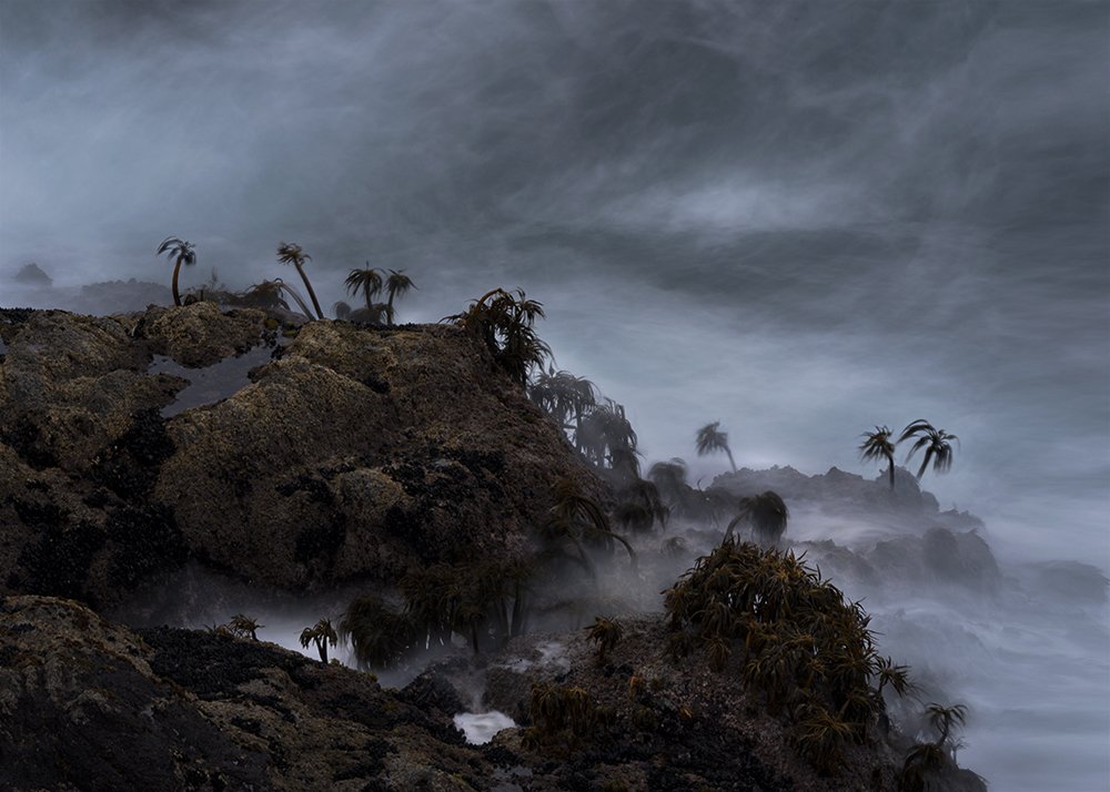 Photograph by Brigitte Bourger