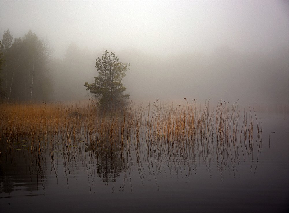 Photograph by Liudmila Drake