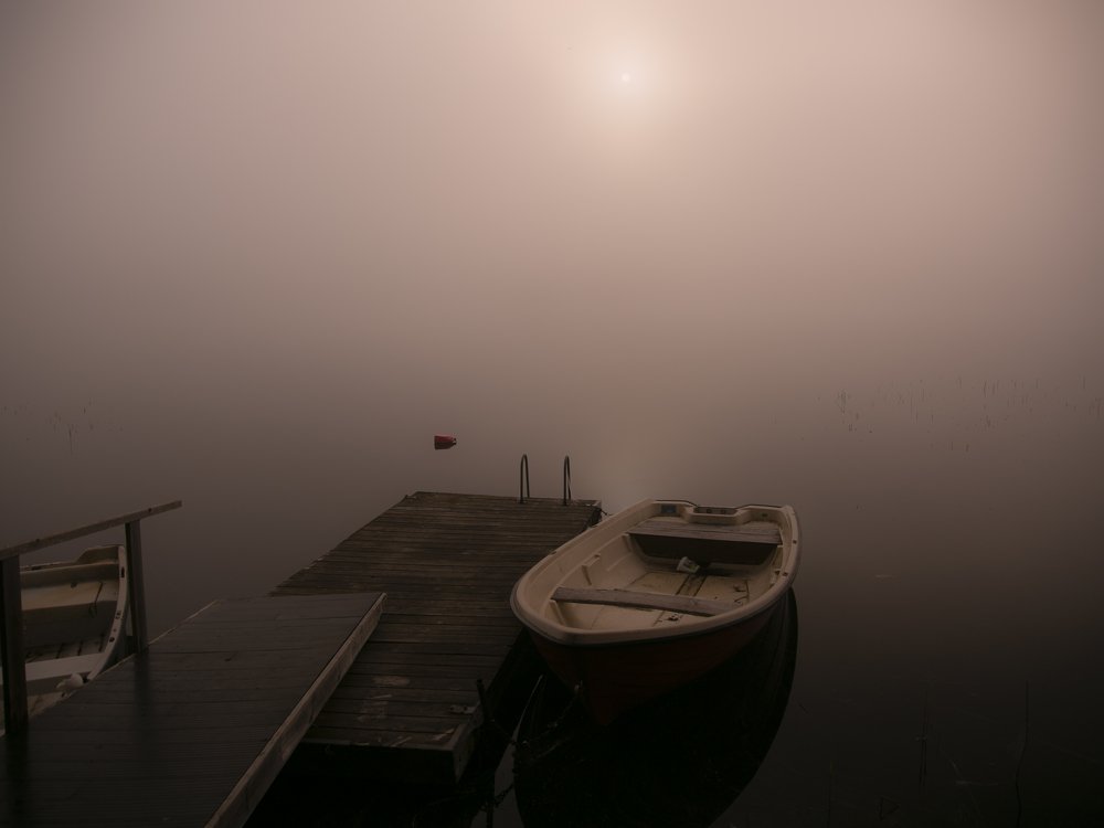 Photograph by Liudmila Drake