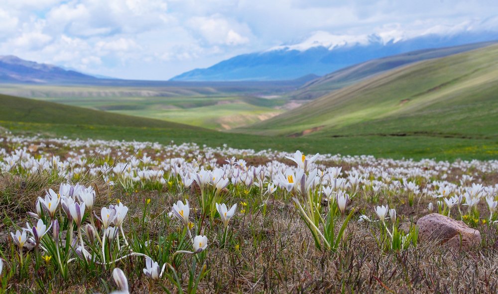 Photograph by Дмитрий Клешаев