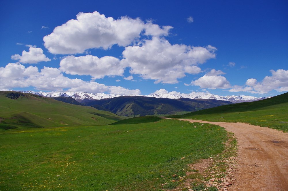 Photograph by Дмитрий Клешаев