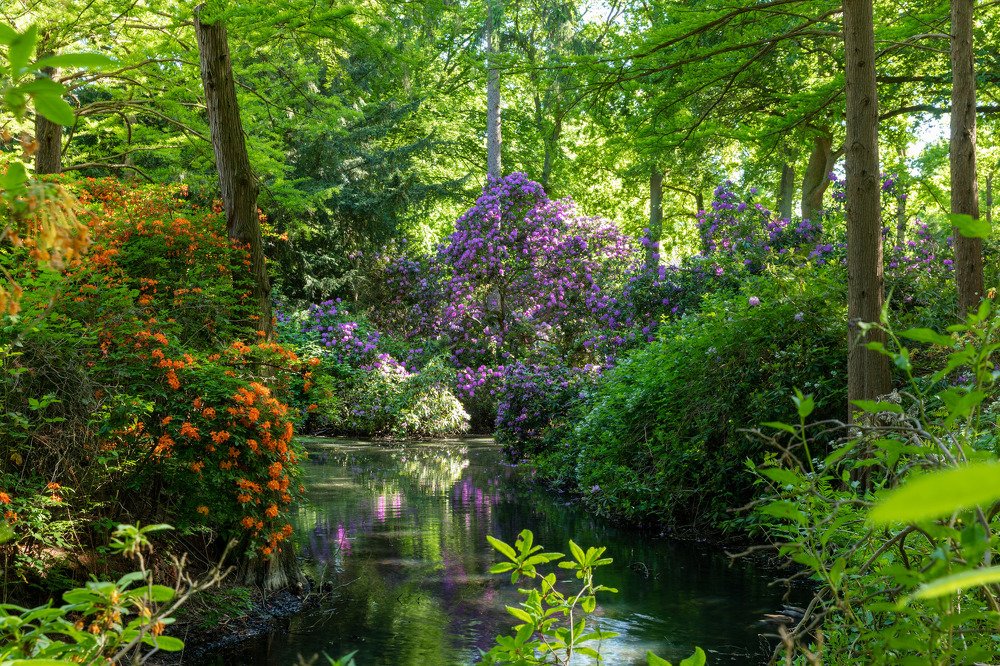 Photograph by Евгения Чех