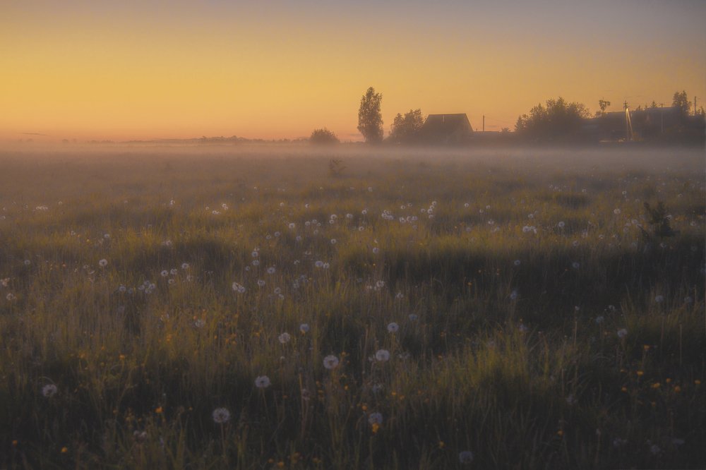 Photograph by ОЛЬГА КОВАЛЁВА