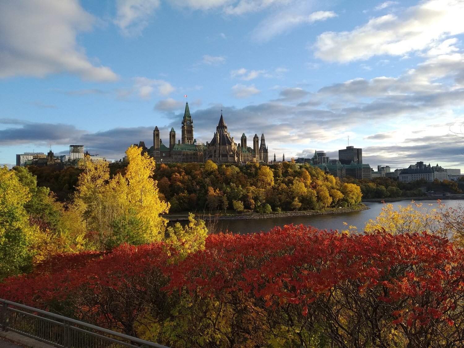 Photo #4648940