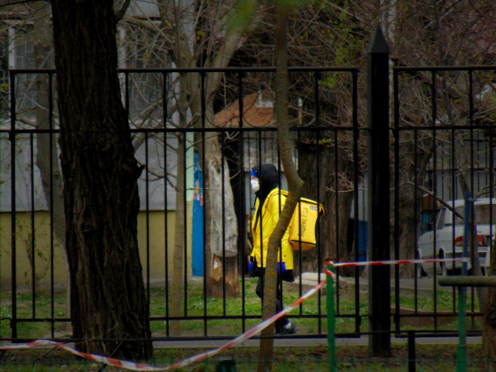 Photograph by Ольга Шевцова