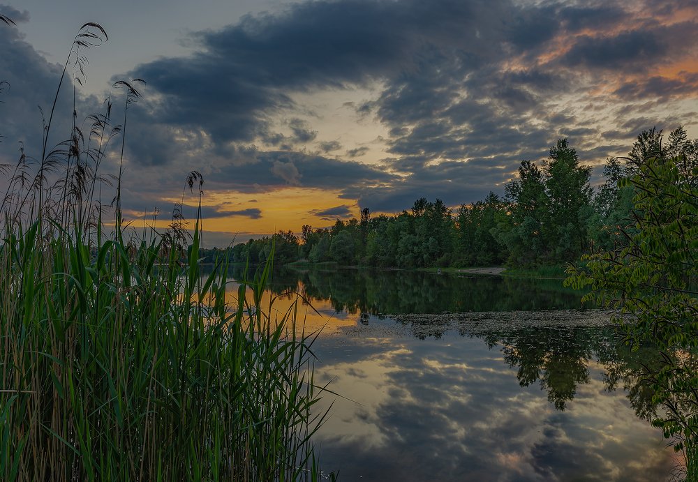 Фотография автора Oleg Utyuzh