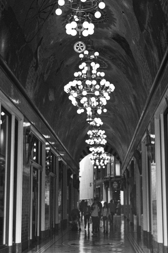 Photograph by Vladimir Nemčić