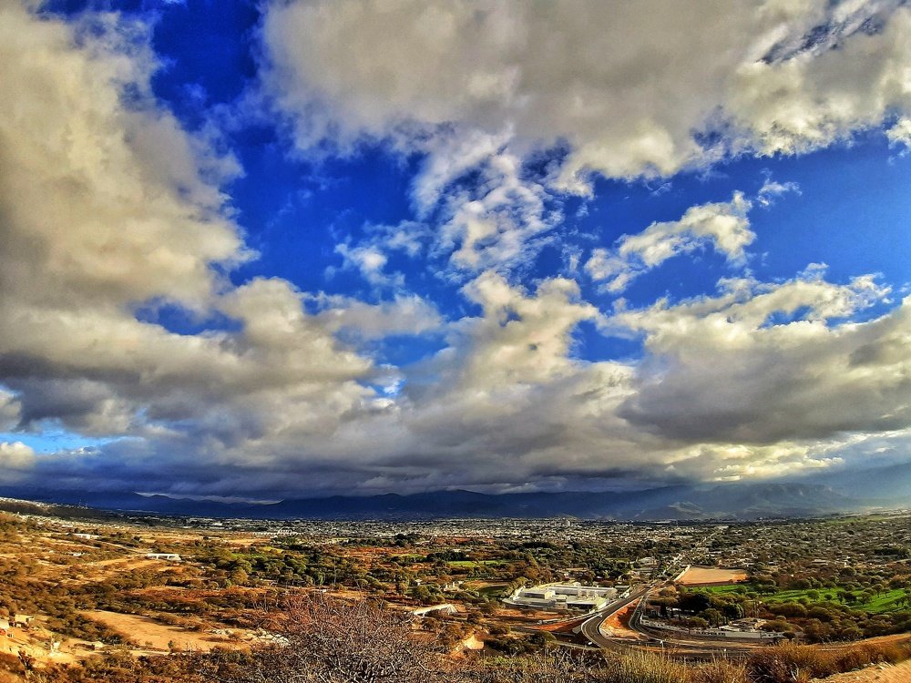 Photo #4649168