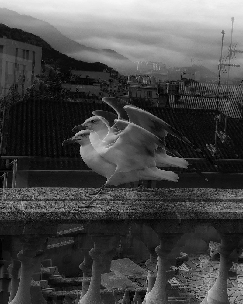 Photograph by Fatima zohra lahouitar