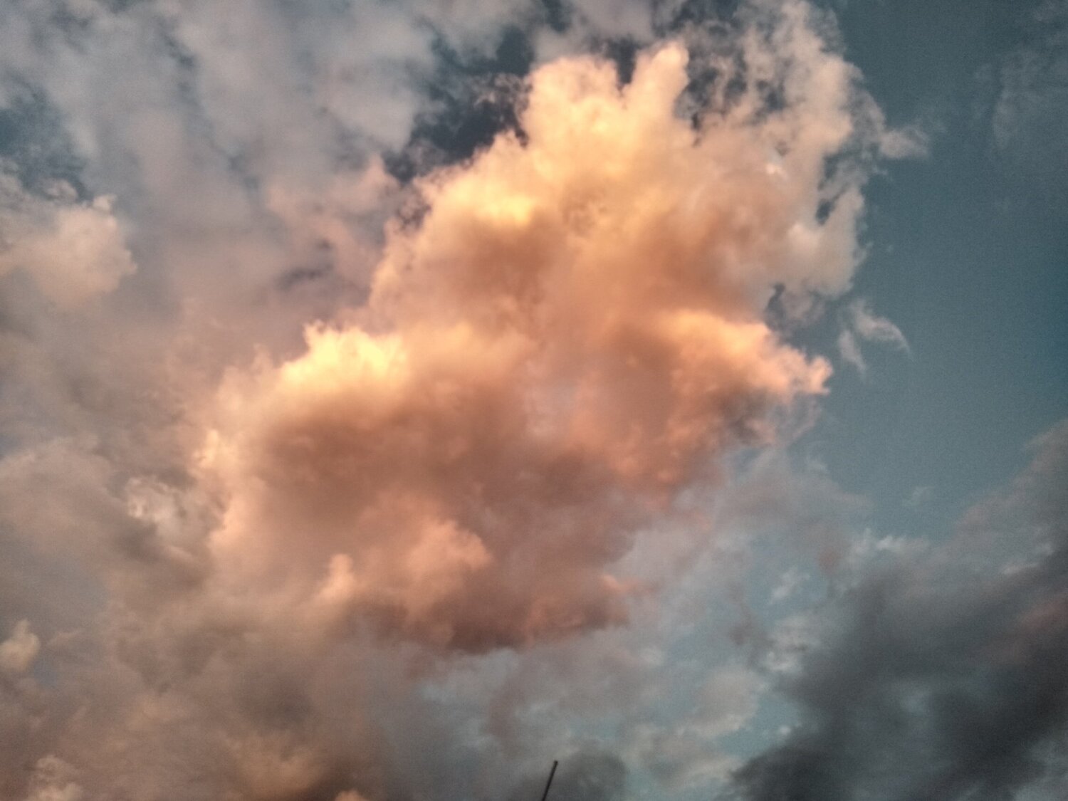 Photo #4649180
