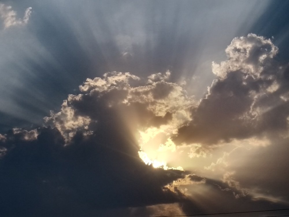 Photo #4649202