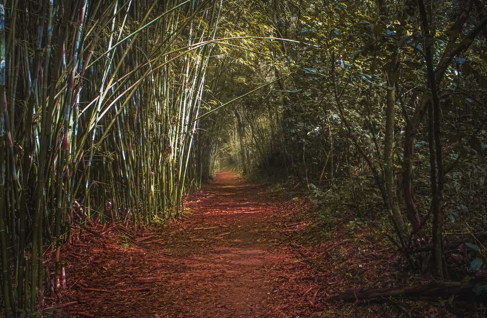 Photograph by FABIO PEREIRA